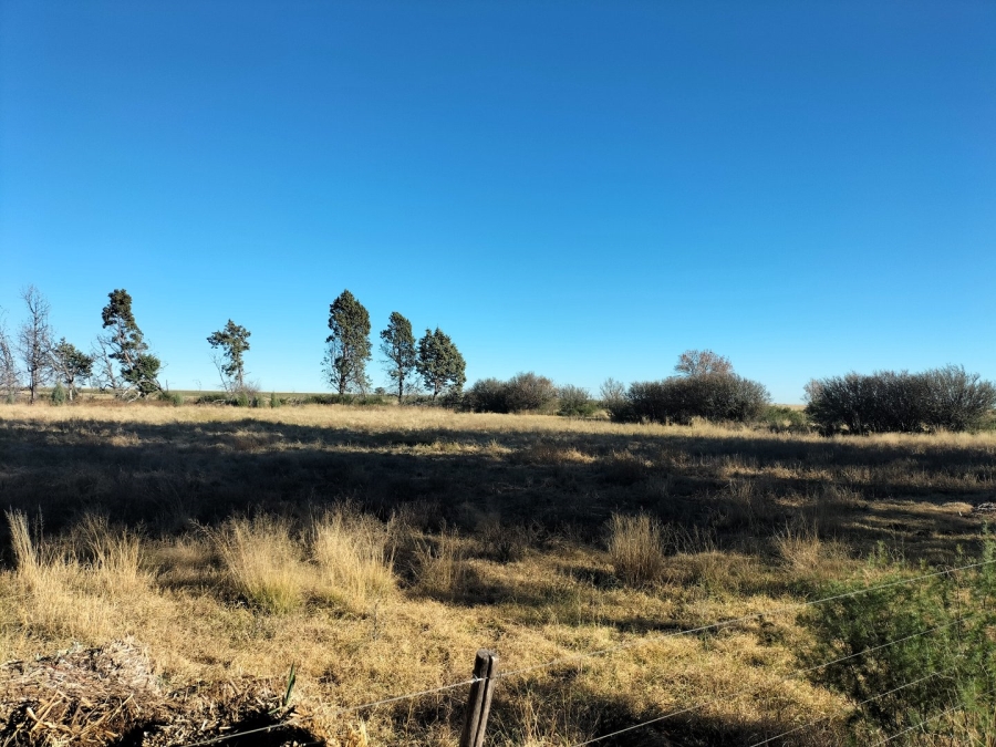 4 Bedroom Property for Sale in Edenburg Rural Free State